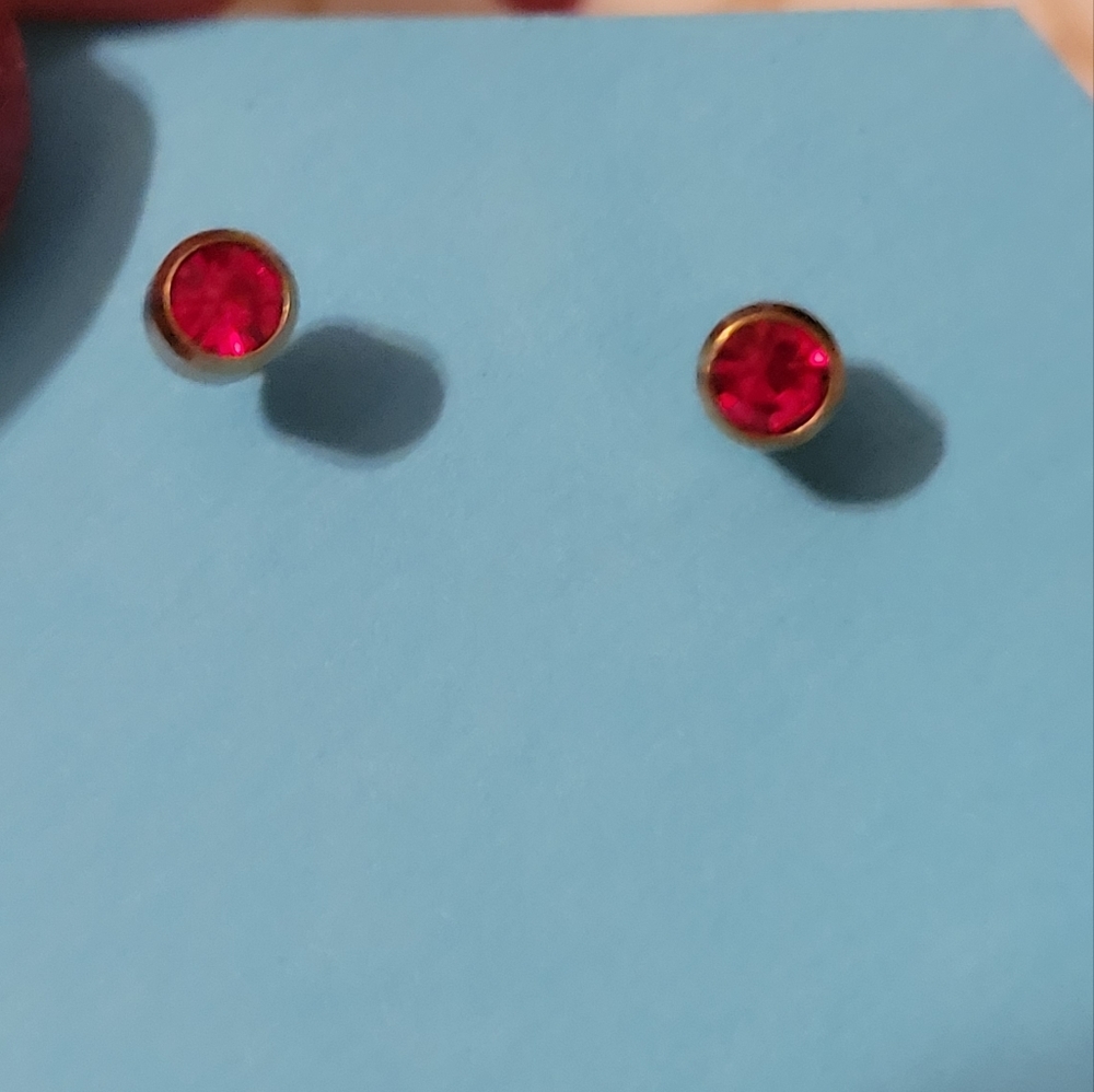 Pink surgical steel non tarnish  studd earrings